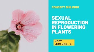 2 CELLED STAGE POLLEN VS 3 CELLED STAGE POLLEN  LECTURE 3 [upl. by Suoicerpal]