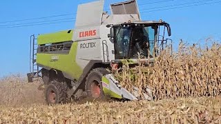 🌽Kukurydza na ziarno 🌽 ClaasampVolvo [upl. by Llenrup]