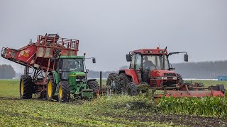 2 fasen bieten rooien  Case Maxxum 5150 amp John Deere 6610  Moreau ontbladeraar en WKM bietenrooier [upl. by Dukie]