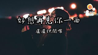 盧盧快閉嘴  好想再見你一面『讓我再見你一面 在這個冬天 就算再懷念 也不敢提從前』【動態歌詞 Lyrics】 [upl. by Balthasar]