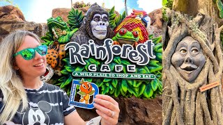 Disney Springs Rainforest Cafe 2022 Full Dining Experience Food Theming Volcano Shopping amp More [upl. by Odraude]