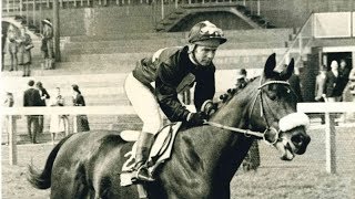 Ian Balding remembers Mill Reef 50 years after the great horses birth  Part Two [upl. by Ecargyram]