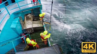 Life On USs Largest Longline Fishing Vessel  Fishing On the High Seas [upl. by Anerok]