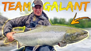 CATCHING GIANT SALMON Bergeforsen  Best Salmon Fishing in the World  Team Galant [upl. by Kcolttam]