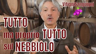 VitigniSanguigni OGGI VI RACCONTO TUTTO SUL NEBBIOLO [upl. by Euqinitram]