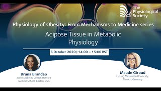 Webinar Adipose Tissue [upl. by Gearhart]