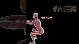 減肥運動  深蹲的動作要領 [upl. by Neuberger]