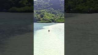 Snake Island Brazil  Ilha da Queimada Grande [upl. by Yoshio]