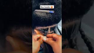 Box braids foryou hairstyles subscribe braids haircare [upl. by Adnamma]