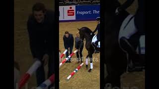 Dressage horse jumps 🥰 showjumping dressage [upl. by Adnamor]