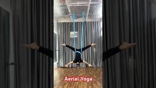 Aerial Yoga new Flow  Flying yoga new show  Aerial competition yogaflow yogasix poweryoga [upl. by Kraus109]