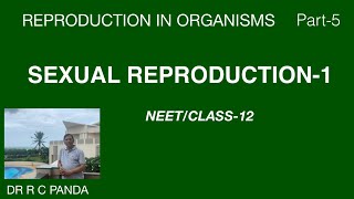 SEXUAL REPRODUCTION1  REPRODUCTION IN ORGANISMS PART5  NEET  CLASS12  Dr Ramesh Panda [upl. by Leveridge]