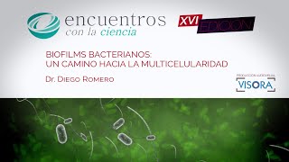 Biofilms bacterianos un camino hacia la multicelularidad [upl. by Eet]