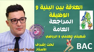 تمرين رائع جداً مسعى حول العلاقة بين البنية و الوظيفة المراجعة العامة [upl. by Harleigh]