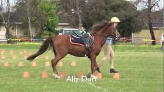 Prince Phillip Mounted Games Nationals Australia 2012 [upl. by Ewall58]