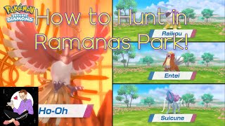 HOW TO SHINY HUNT IN RAMANAS PARK All the Legendaries Pokemon BDSP [upl. by Ingram743]