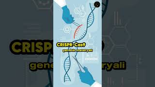 CRISPR Cas9  GENETİK KODLAR GEĞİŞTİRİLİYOR teknologi bilim [upl. by Funk263]