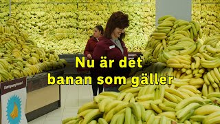 Nu är det bananer som gäller [upl. by Granlund]