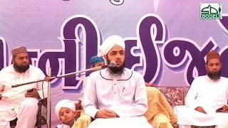 Kya Khinzirsuar Ka Kapde ya Kalin Se Guzar Jane Se Wo Kalin Napak Ho Jayega  Mufti Sabir Misbahi [upl. by Ratna]