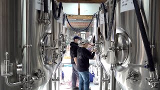 Process of Making Craft Beer Korean Countryside Brewery [upl. by Renferd642]