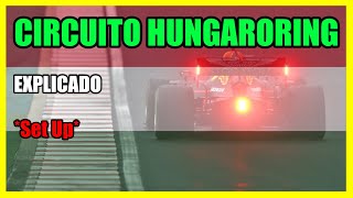 HUNGARORING 🚨 CIRCUITO de Hungría EXPLICADO 💥 Set Up y Reglajes F1  GP Hungría Formula 1 2020 [upl. by Ruscher883]