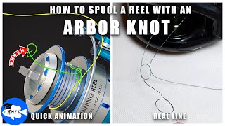 Arbor Knot How to Spool a Spinning Reel and Baitcasting Reel [upl. by Lanford]