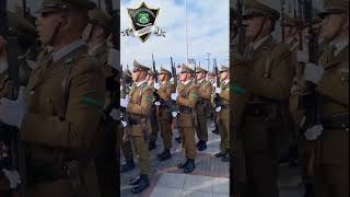 Desfile Carabineros en Iquique Glorias Navales 2024 [upl. by Niobe]