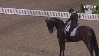 Reem Acra FEI World Cup™ Dressage 201415  Stockholm  News [upl. by Anreval24]