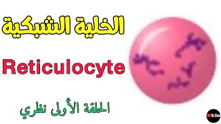 الخلايا الشبكية ما هي؟ أسباب ارتفاعها وأسباب انخفاضها Reticulocyte 🩸 [upl. by Anneh]