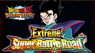 HOW TO BEAT SAVIORS EXTREME SUPER BATTLE ROAD DBZ Dokkan Battle [upl. by Ahseile]