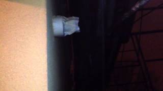 Water Heater Making Noise [upl. by Yetak680]