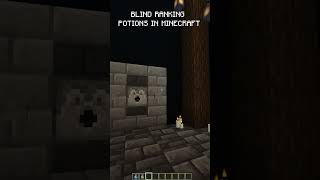 Blind RANKING Potions in Minecraft [upl. by Althea]