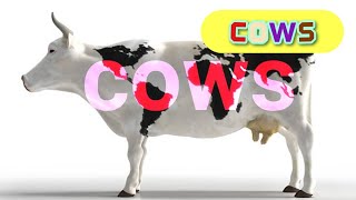 Cows Learning about cows for kidsEnglish Educational Videos for kidsLearn about cows in English [upl. by Eclud]