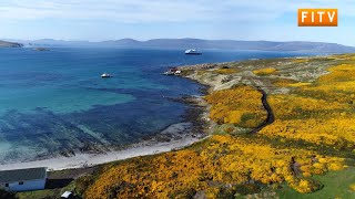 Visit the Falkland Islands Carcass Island [upl. by Amer]