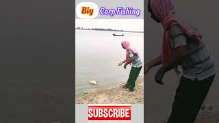 Big Carp Fishing Videos 🐠🐋🐟 fishingvideo carpfishing [upl. by Wittie]