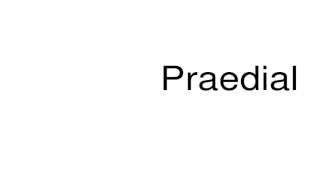 How to pronounce Praedial [upl. by Margaretha]