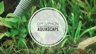 DIY siphon aquascape membersihkan substrate aquarium [upl. by Tichon565]