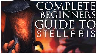 The Complete Beginners Guide to Stellaris  2022 [upl. by Aciemaj]