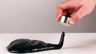 Amazing science experiments with magnets [upl. by Elberta]