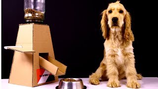 DIY Puppy Dog Food Dispenser With Cardboard [upl. by Dwinnell7]