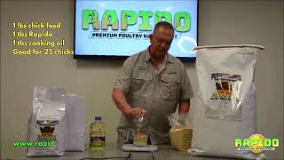 Jeff Mattocks on Feeding Rapido Premium Gamefowl Supplement to Chicks [upl. by Atiuqal]