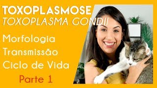 Toxoplasmose toxoplasma gondii  DICAS PARA SUA PROVA PRÁTICA  Parte 1  PARASITOLOGIA 4 [upl. by Eedahs]