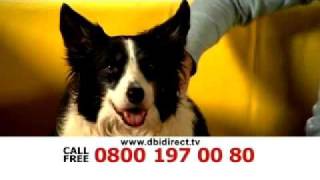 DBI DIRECT  Pet Insurance DRTV Ad [upl. by Sankey]