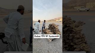 Dubai gaon ka system dubailife reel shortvideo shortsviral reelsvideo [upl. by Beniamino]