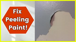 How To Fix Peeling Paint On Walls [upl. by Yannodrahc]