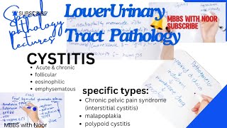 acute and chronic cystitis pathology  types of cystitis  bladder pathology  selflessmedicose [upl. by Valeta]