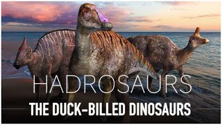 Hadrosaurs The DuckBilled Dino’s  Dinosaur Documentary [upl. by Etteneg857]