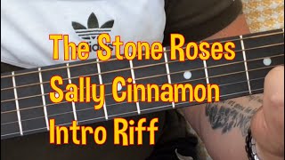 The Stone RosesSally CinnamonIntro RiffAcoustic Guitar Lesson shorts [upl. by Eanar]