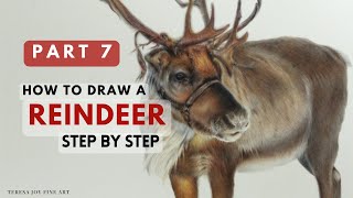 How to Draw a Reindeer PART 7 Step by Step Colour Pencil Animal Portrait Tutorial [upl. by Akoyin]