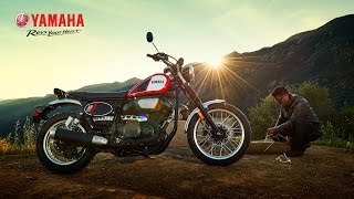 The New Yamaha SCR950 Scrambler [upl. by Zarihs]